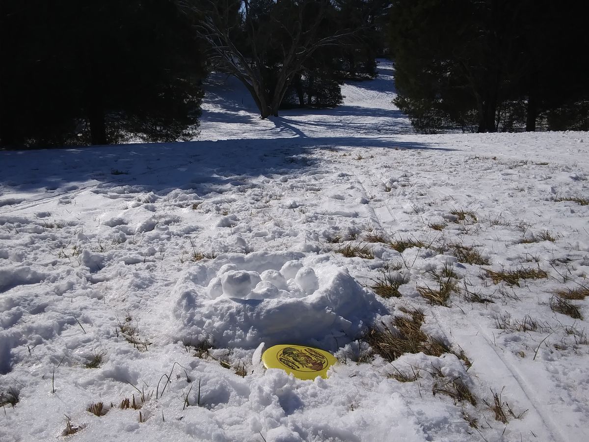 #7 fairway, drive landed at a cache of snowballs