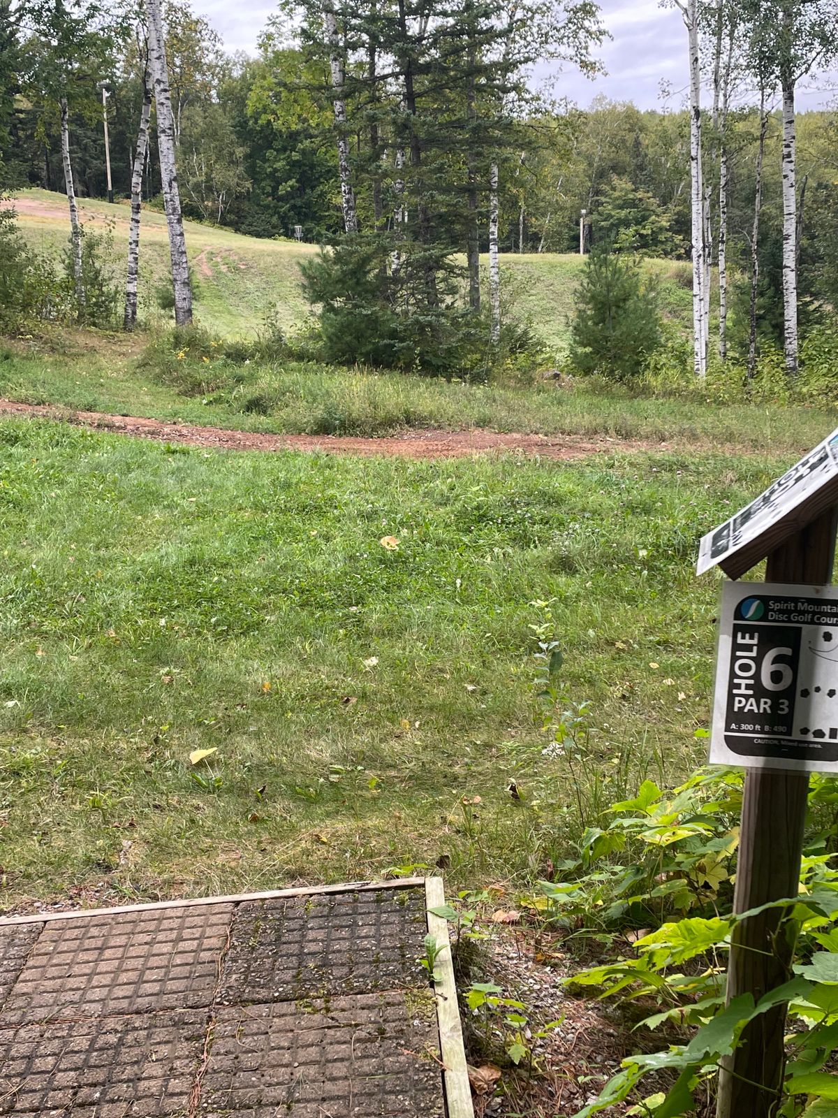 Hole 6, basket is visible through left gap