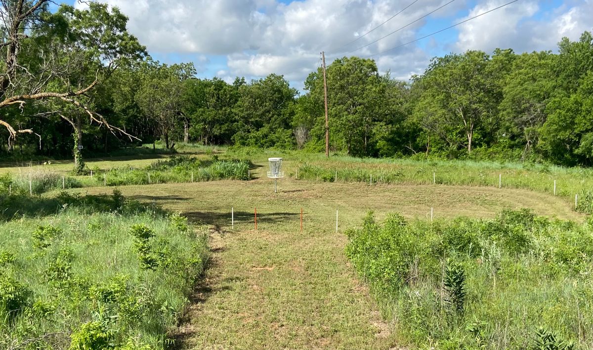 #2 Island Green