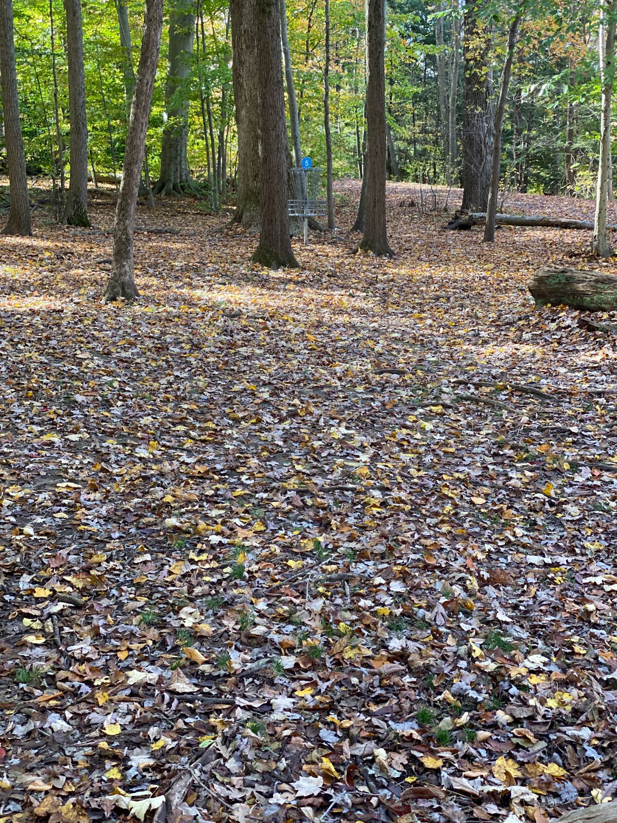 Hole 5 East
