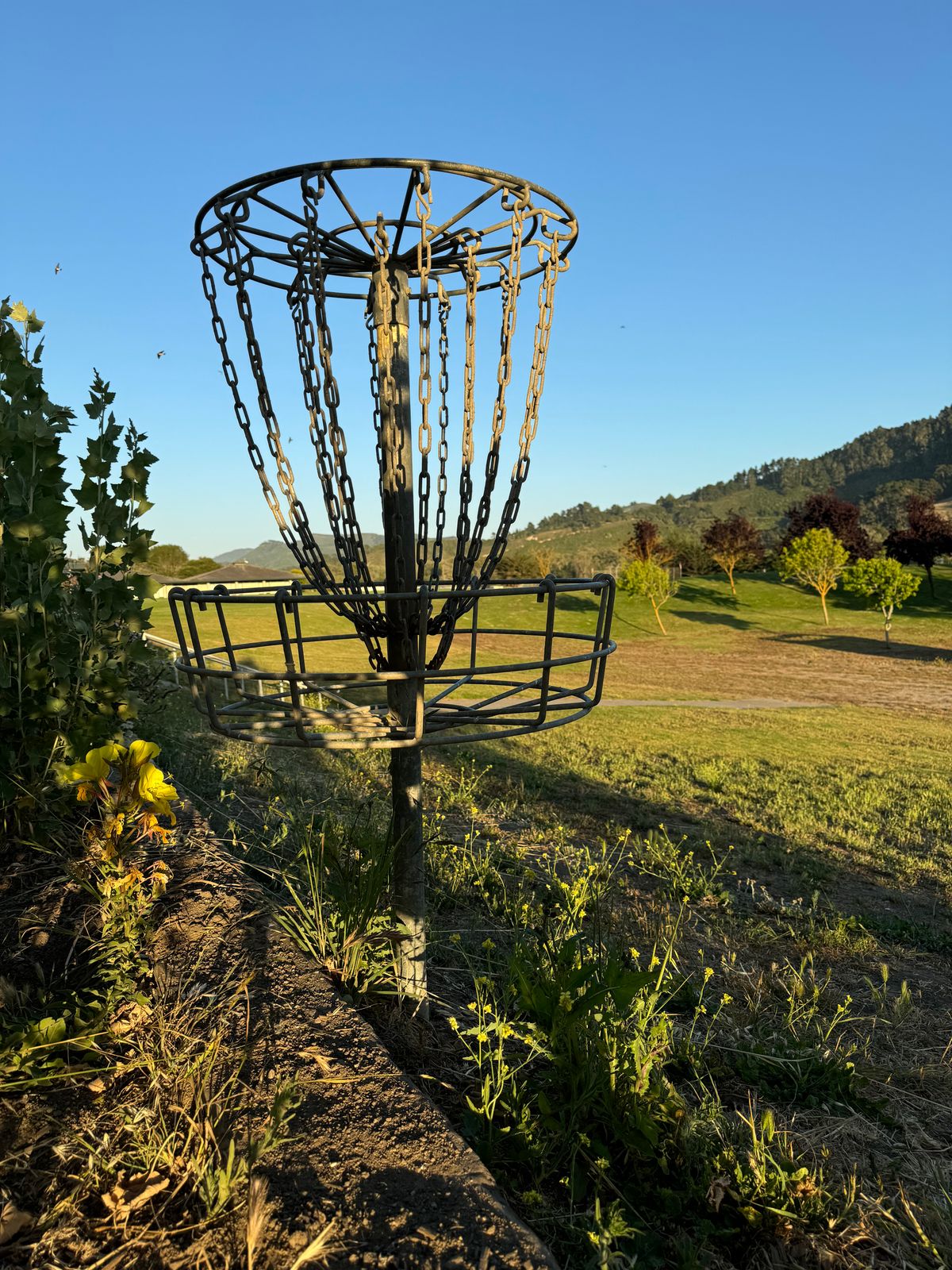 Looking back on Hole 18’s basket.