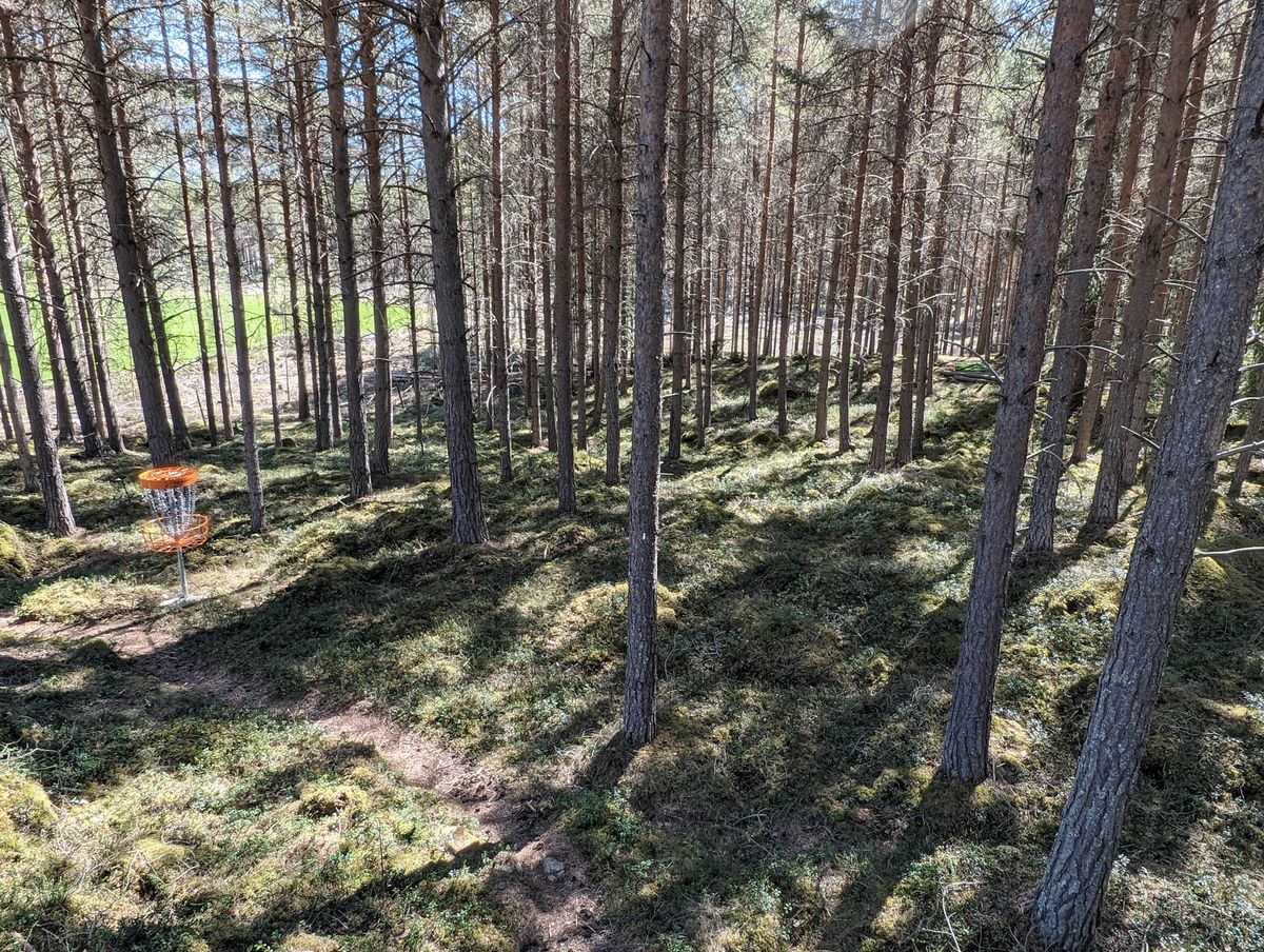 Hole 7