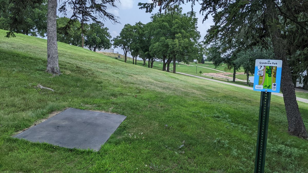 Tee #7