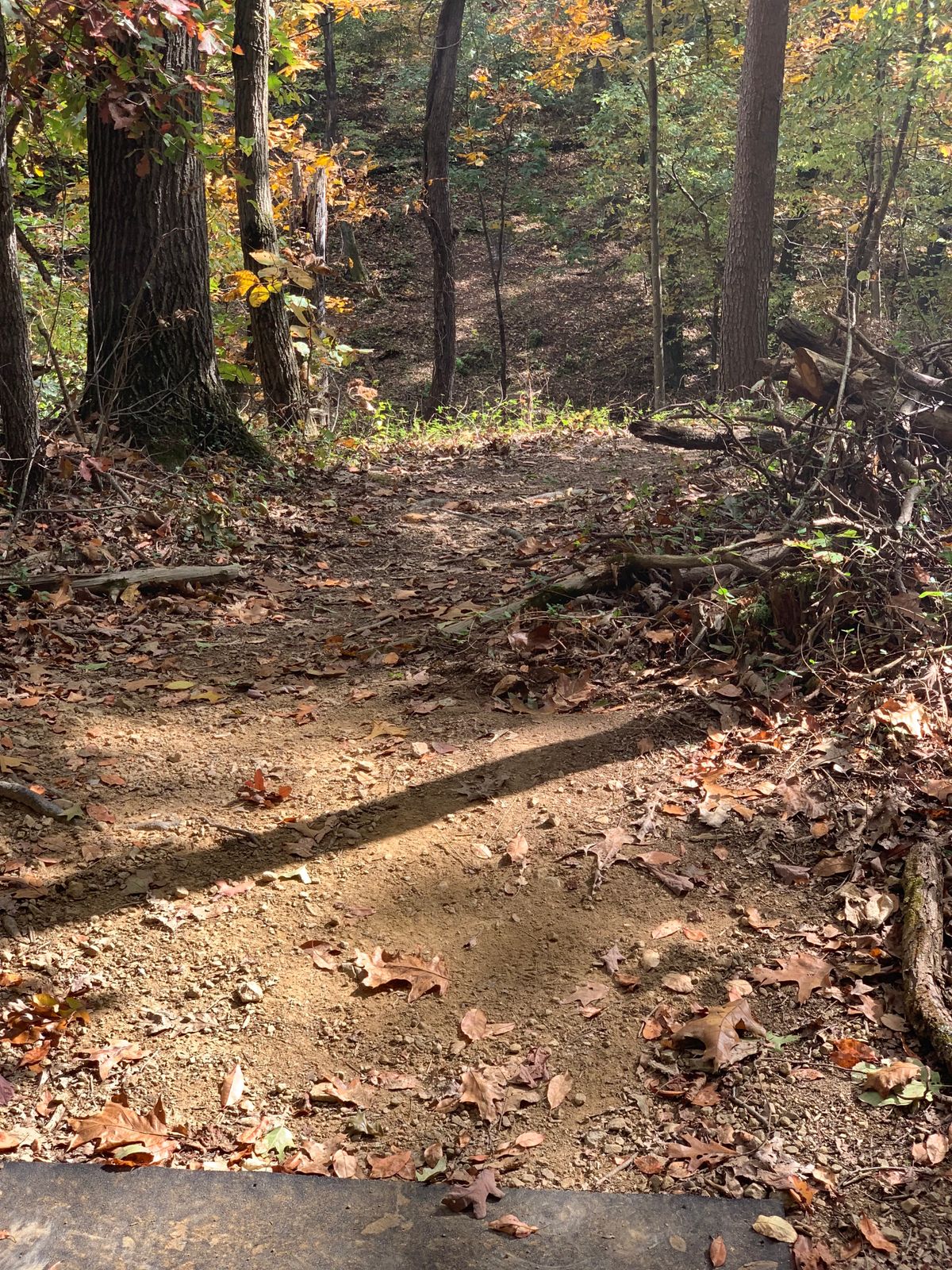 Hole 4