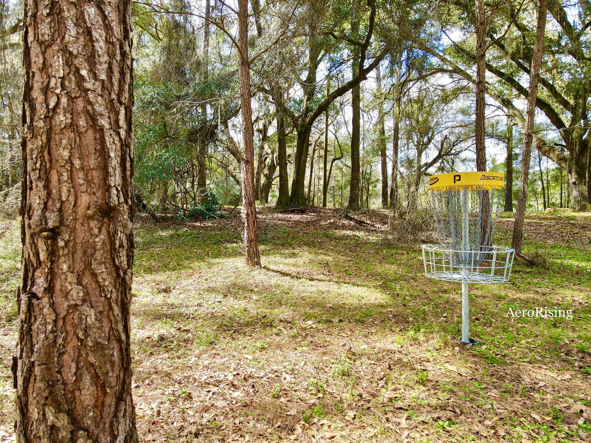 Practice Putting Basket, We All Need It!
@AeroRising on Instagram