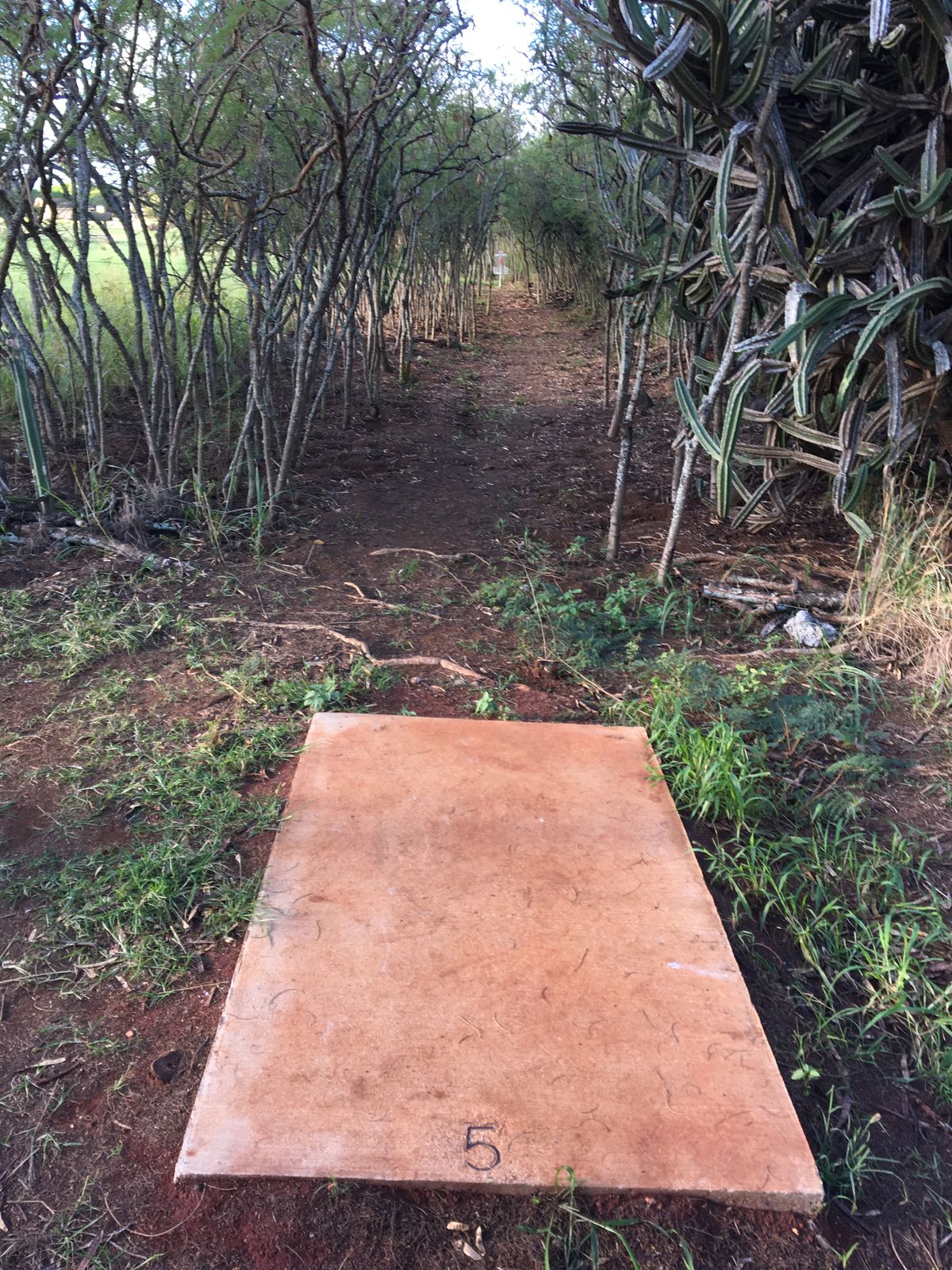 Hole 5 tee pad