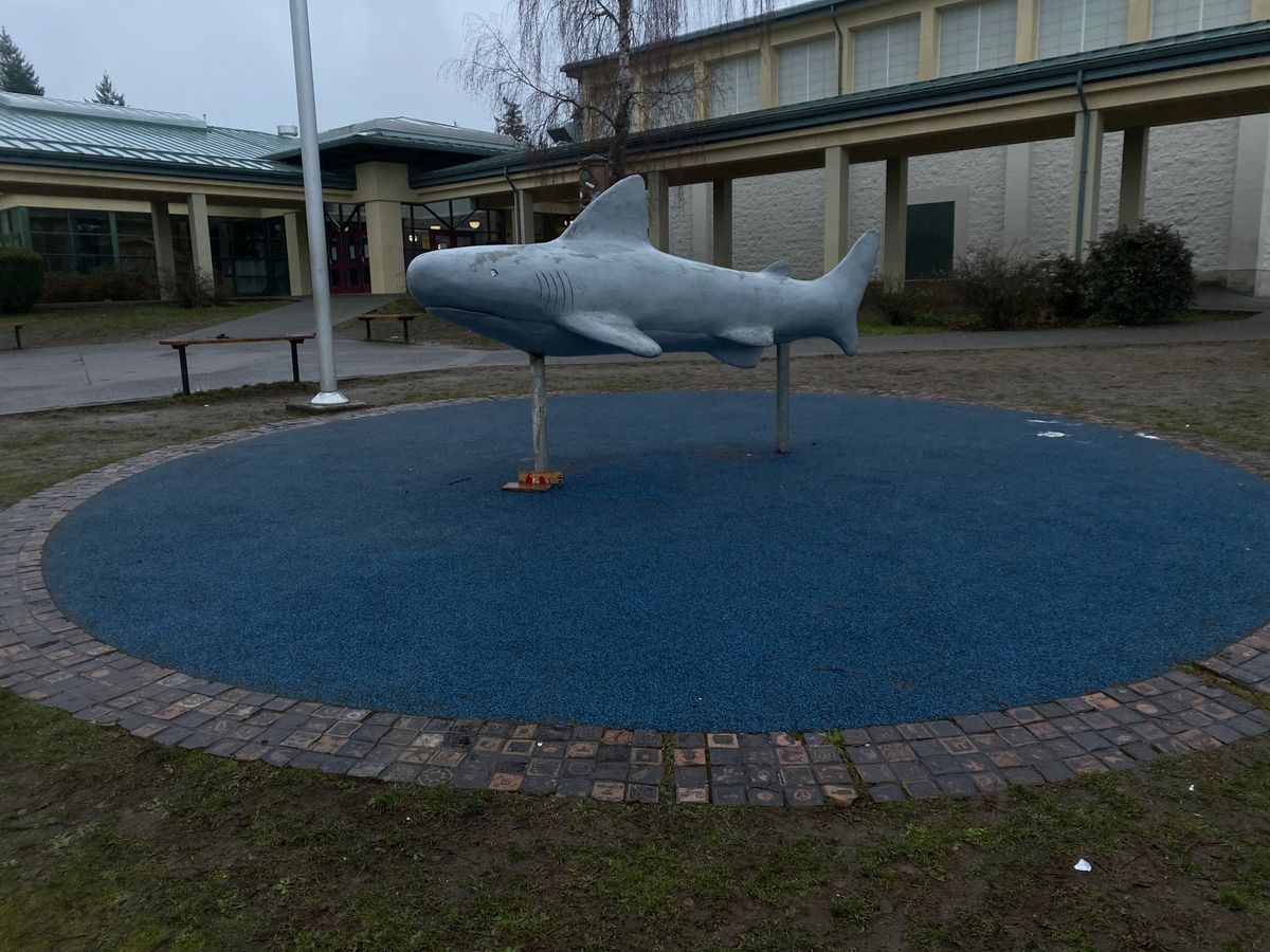 Par 2 Island hole Signature Bayside Shark