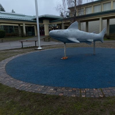 Par 2 Island hole Signature Bayside Shark