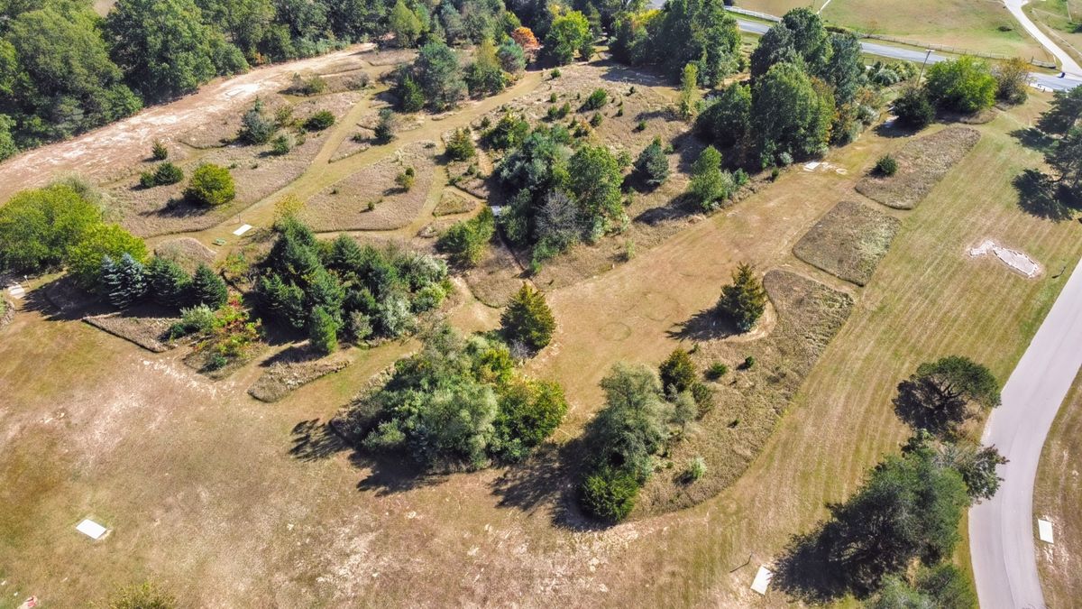 Back 9 aerial view
