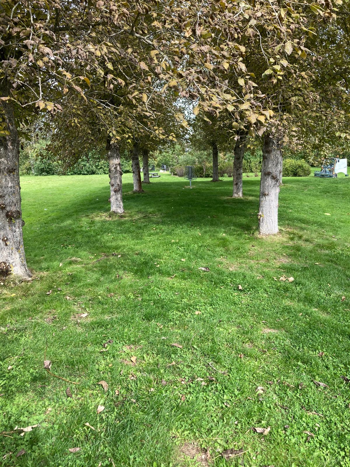 Fairway 1