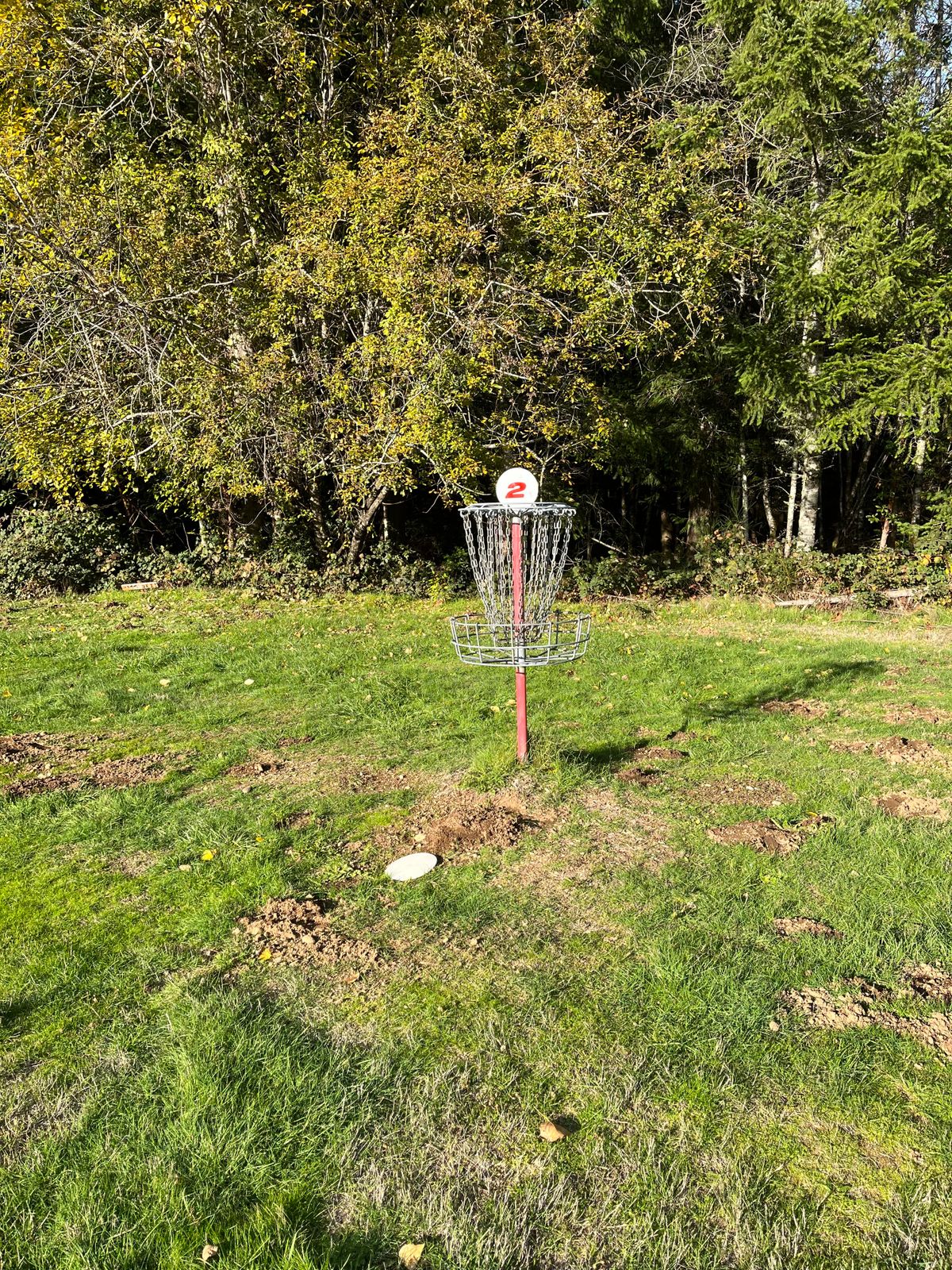 Green of Hole 2