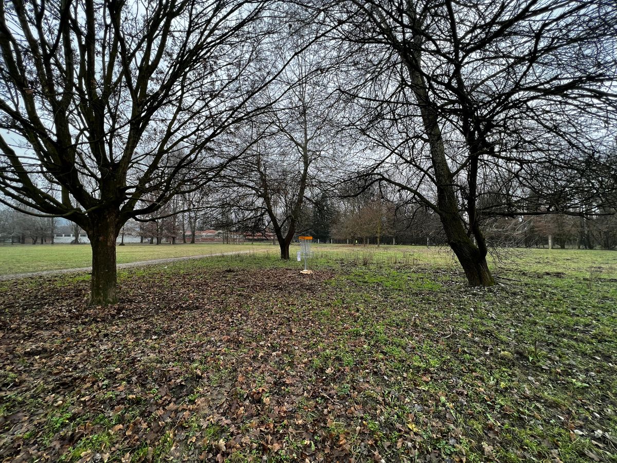 Hole 5