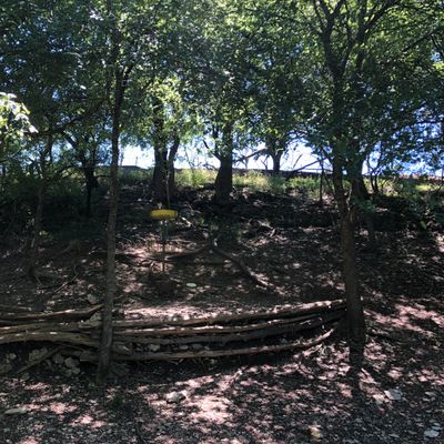 Hole 7 basket.