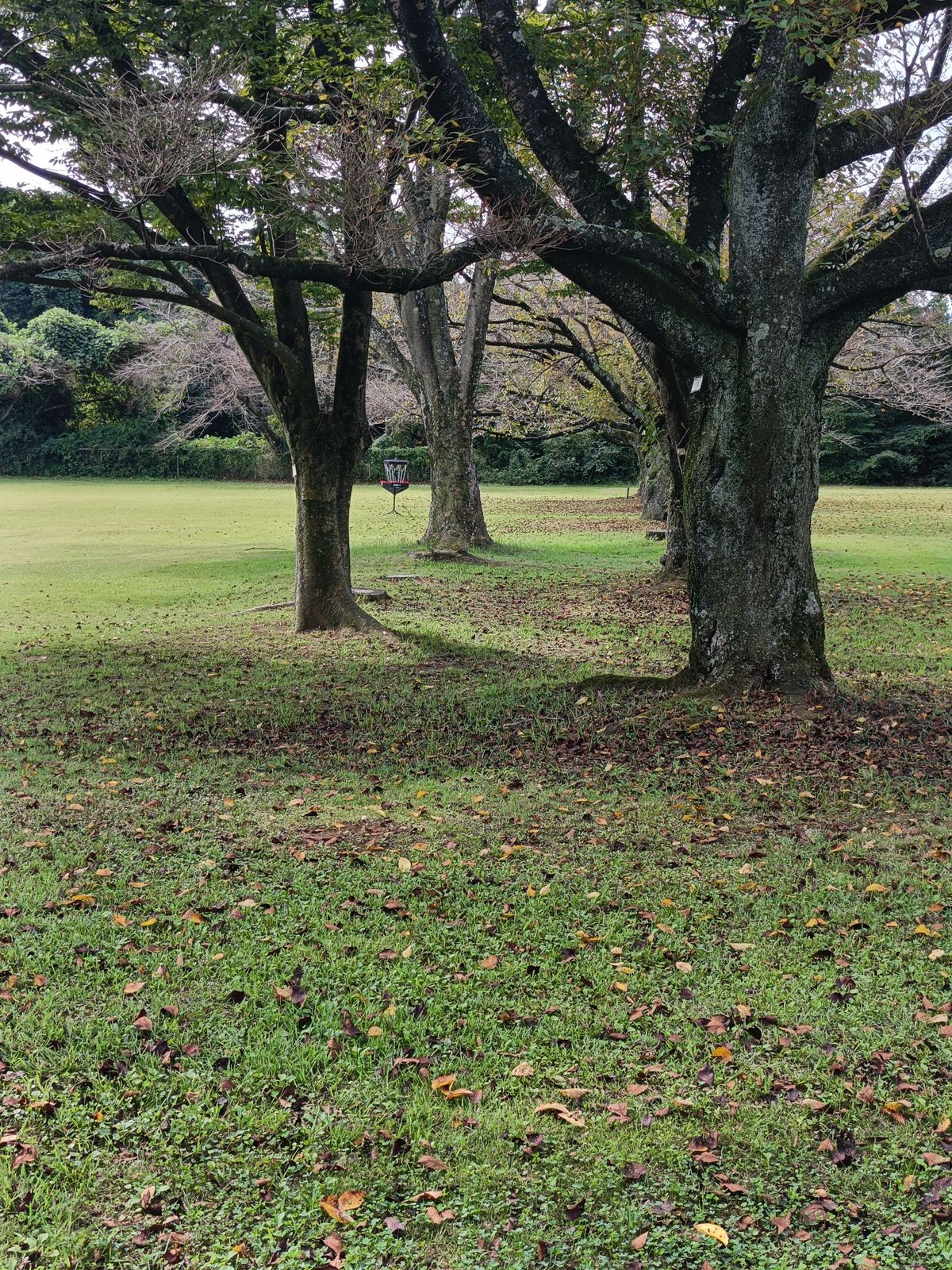 New hole 1 (formerly 4)