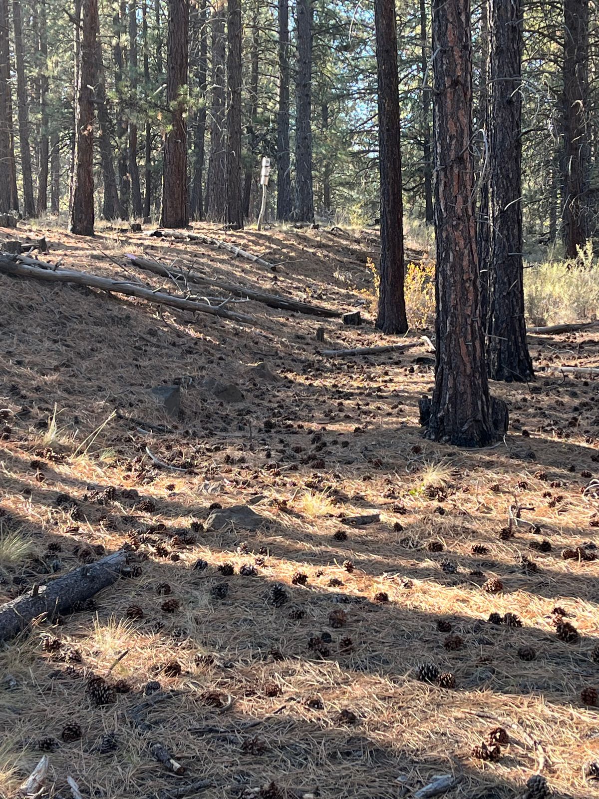 Approach to 17