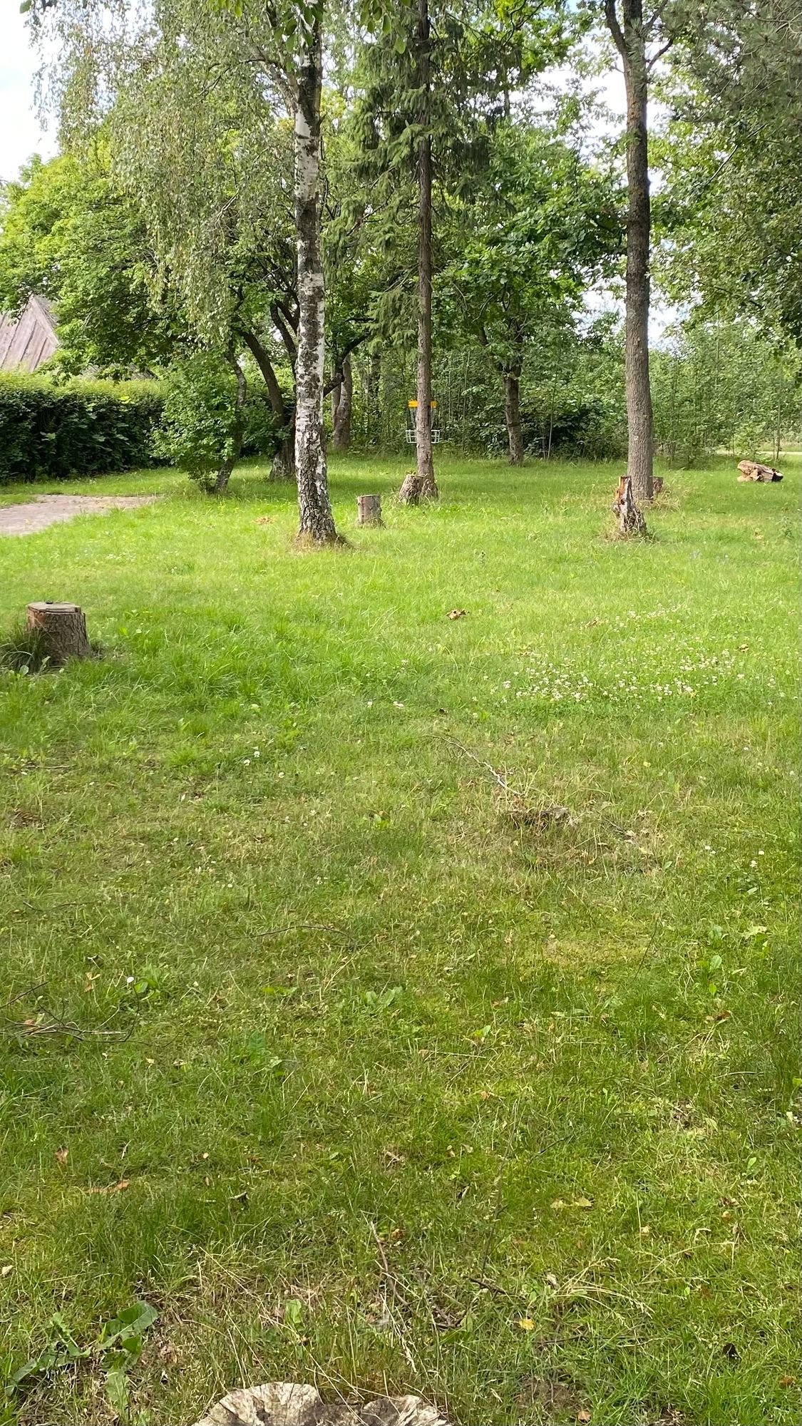 Hul 4 - Tee RØD