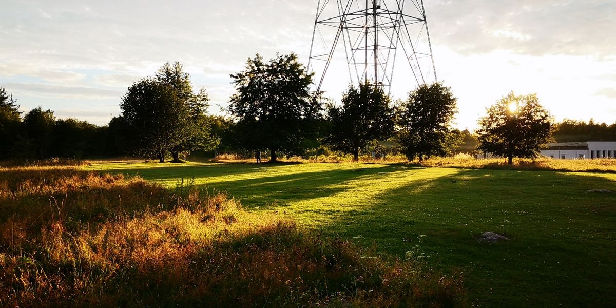Hole 9- fairway to basket 110 m