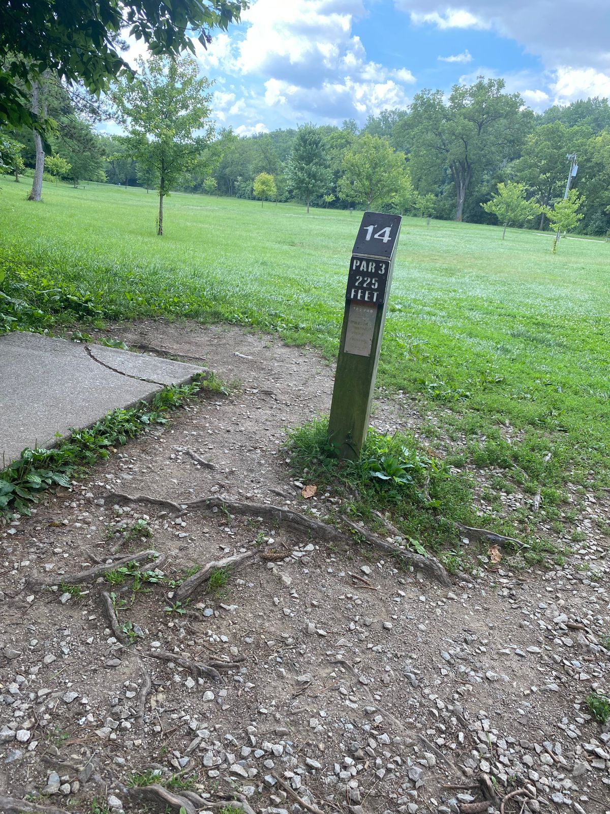 Hole 14: Par 3, 225ft