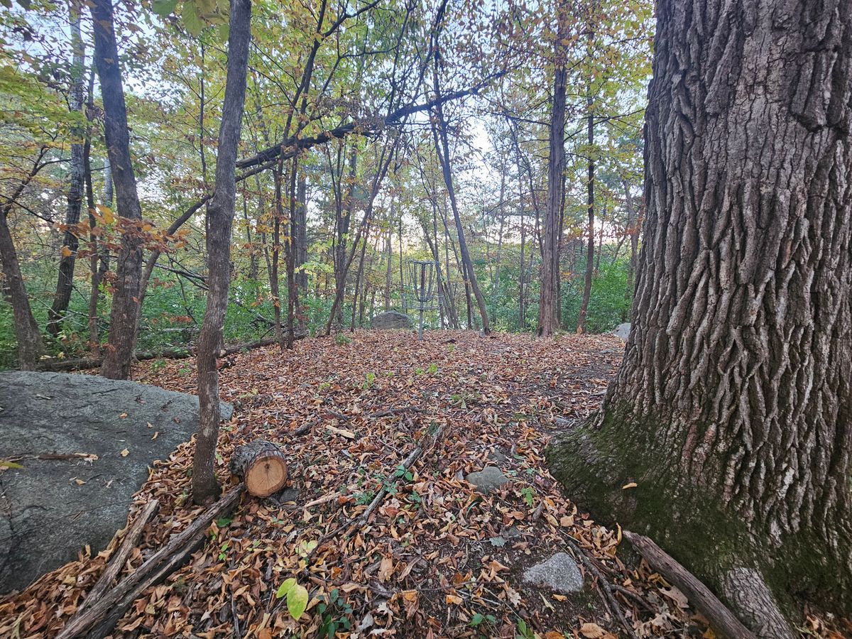 Hole 10 basket