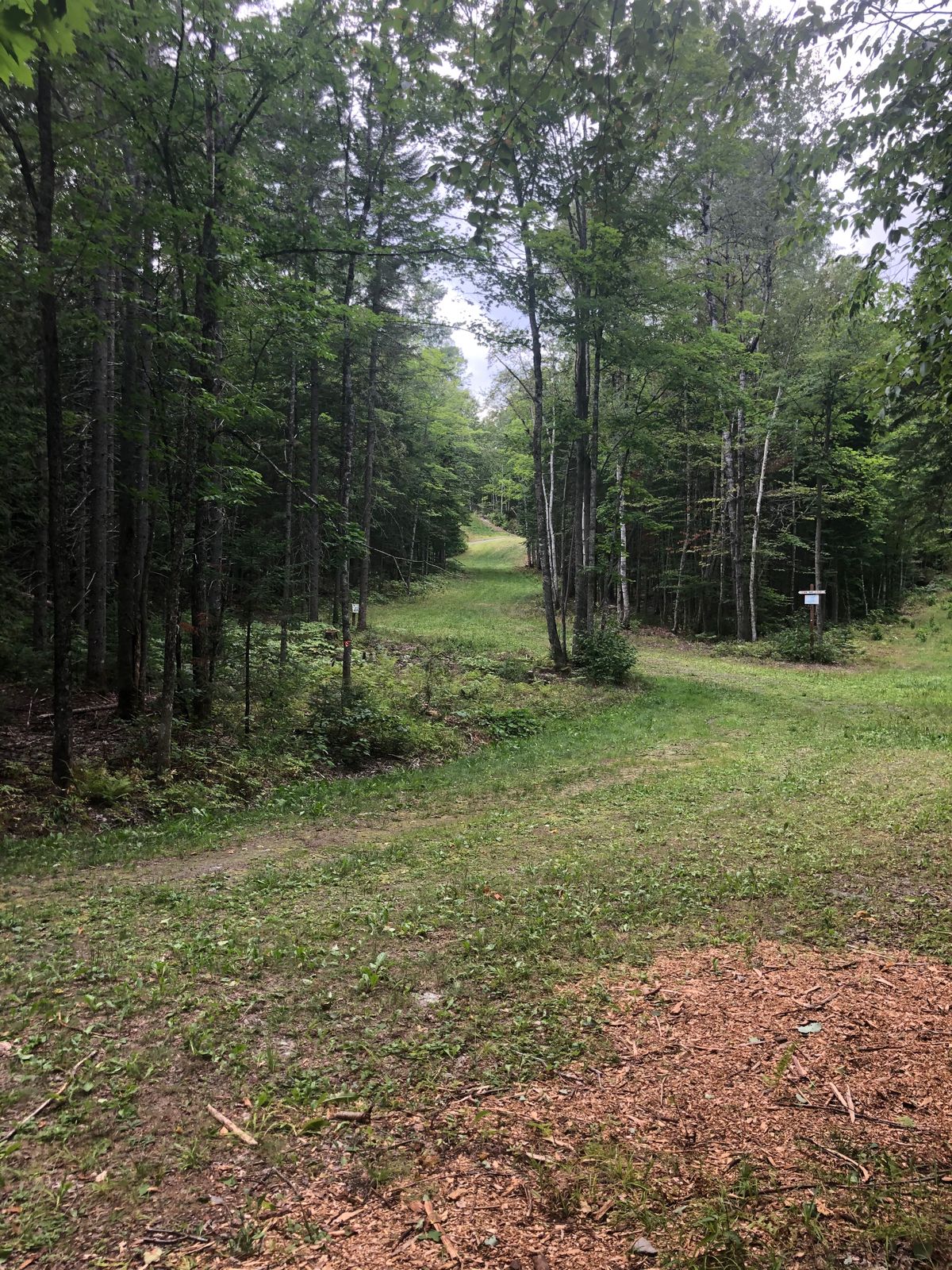 Hole #4 Long Tee
