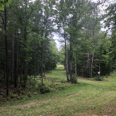 Hole #4 Long Tee