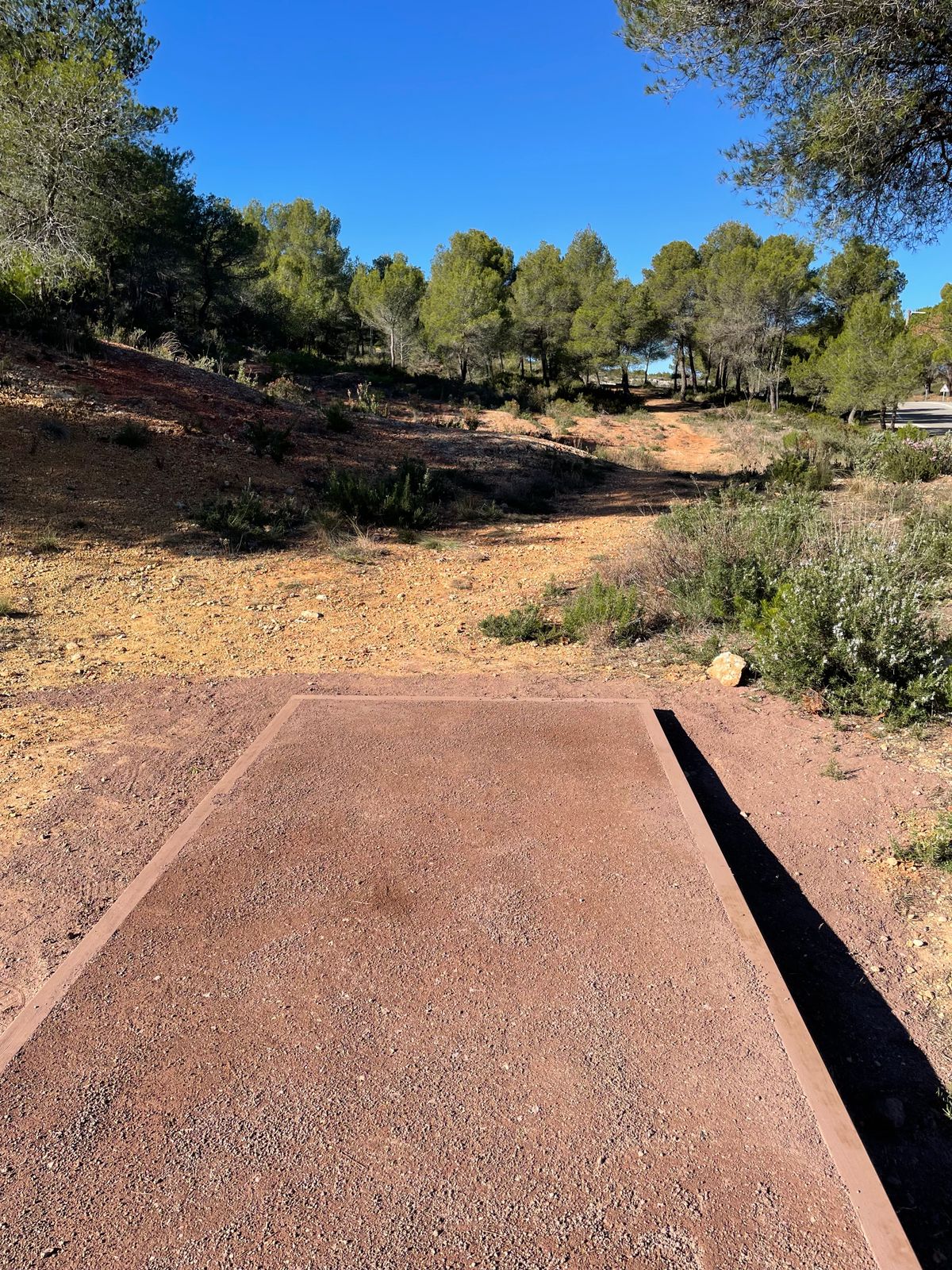TEE 1