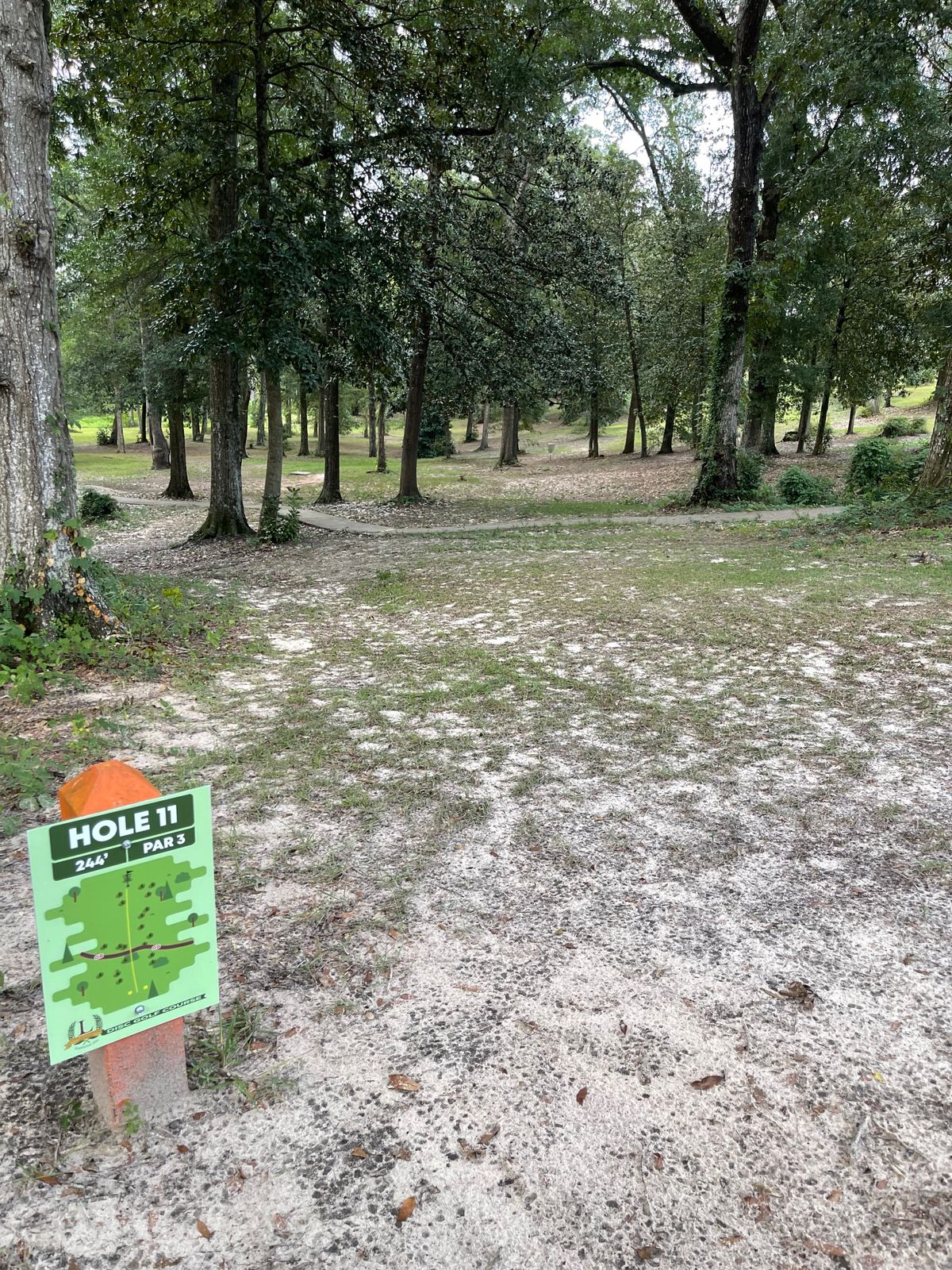 Hole 11