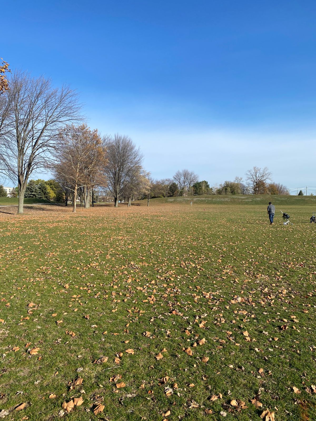 #6 short tee