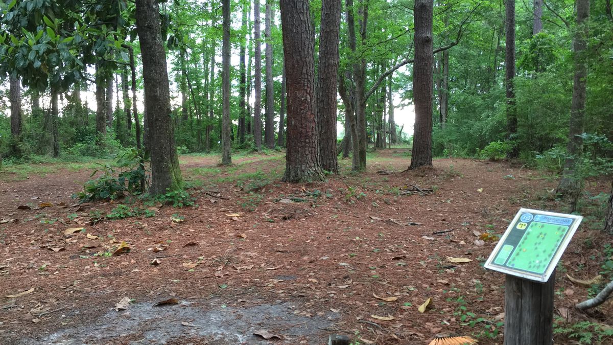 Hole 13