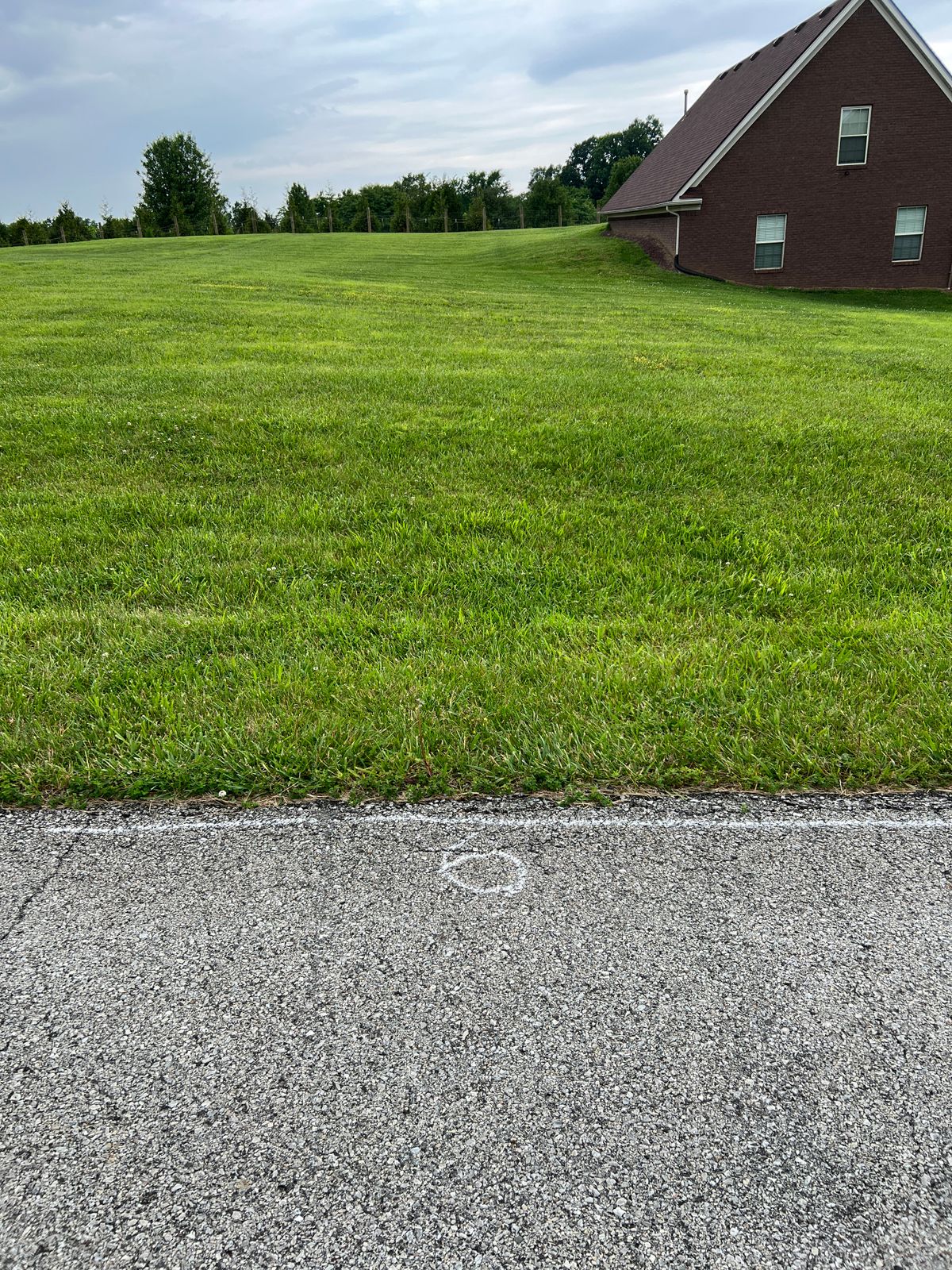 Hole 6 tee