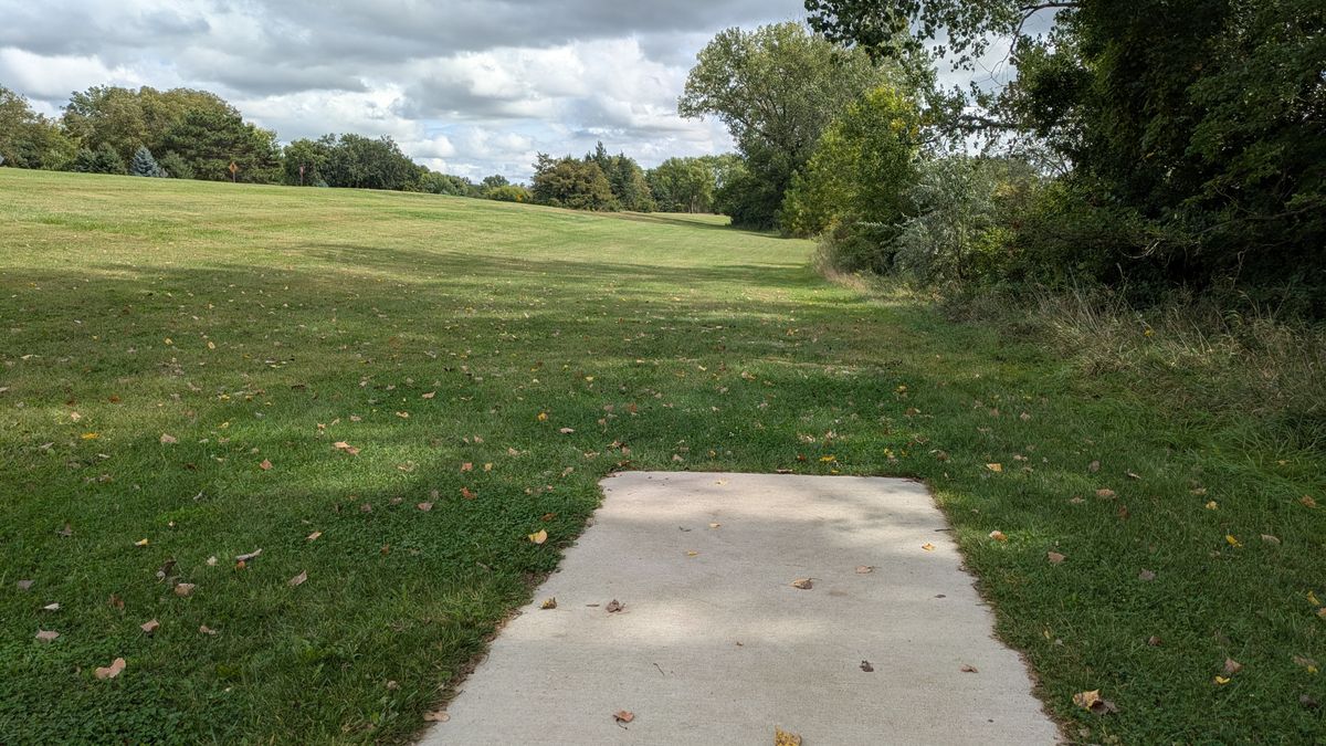Tee #6