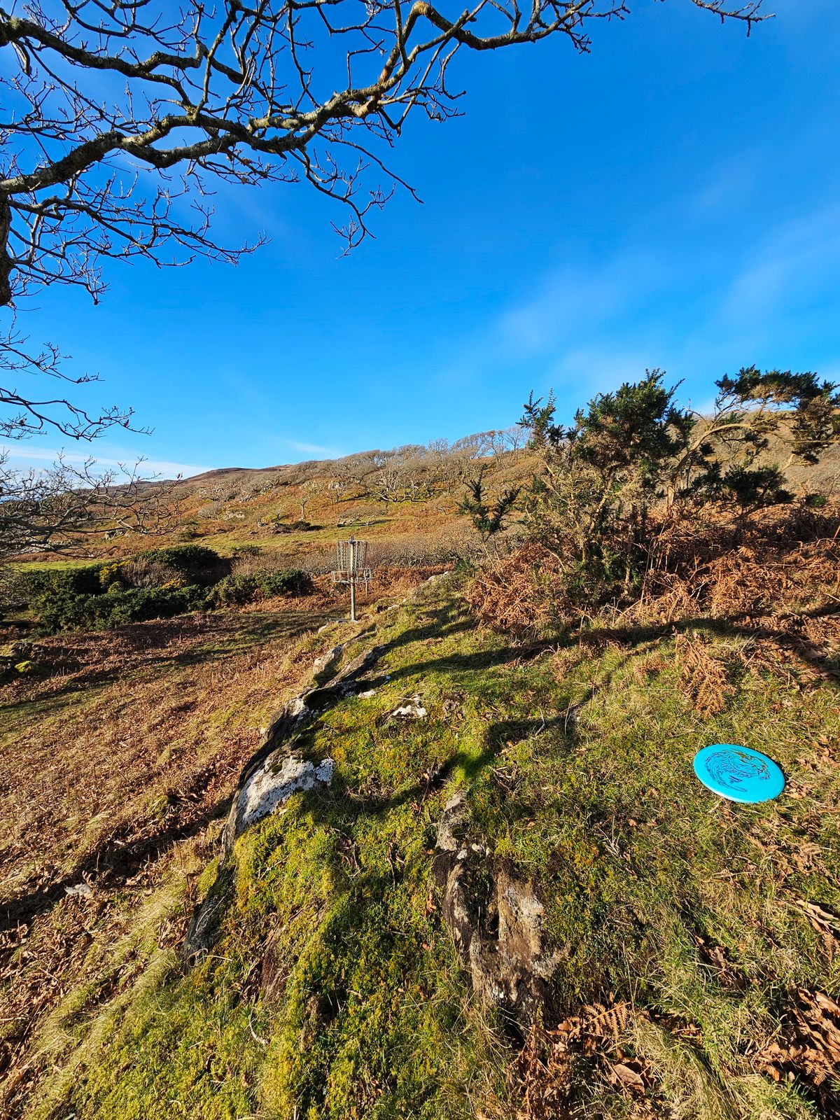 Hole 6 basket