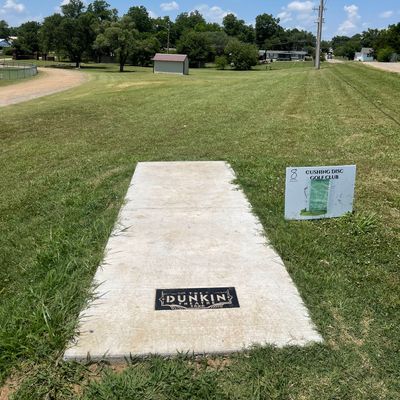 Hole 8, 238 feet. Basket is 20 feet behind the shed.