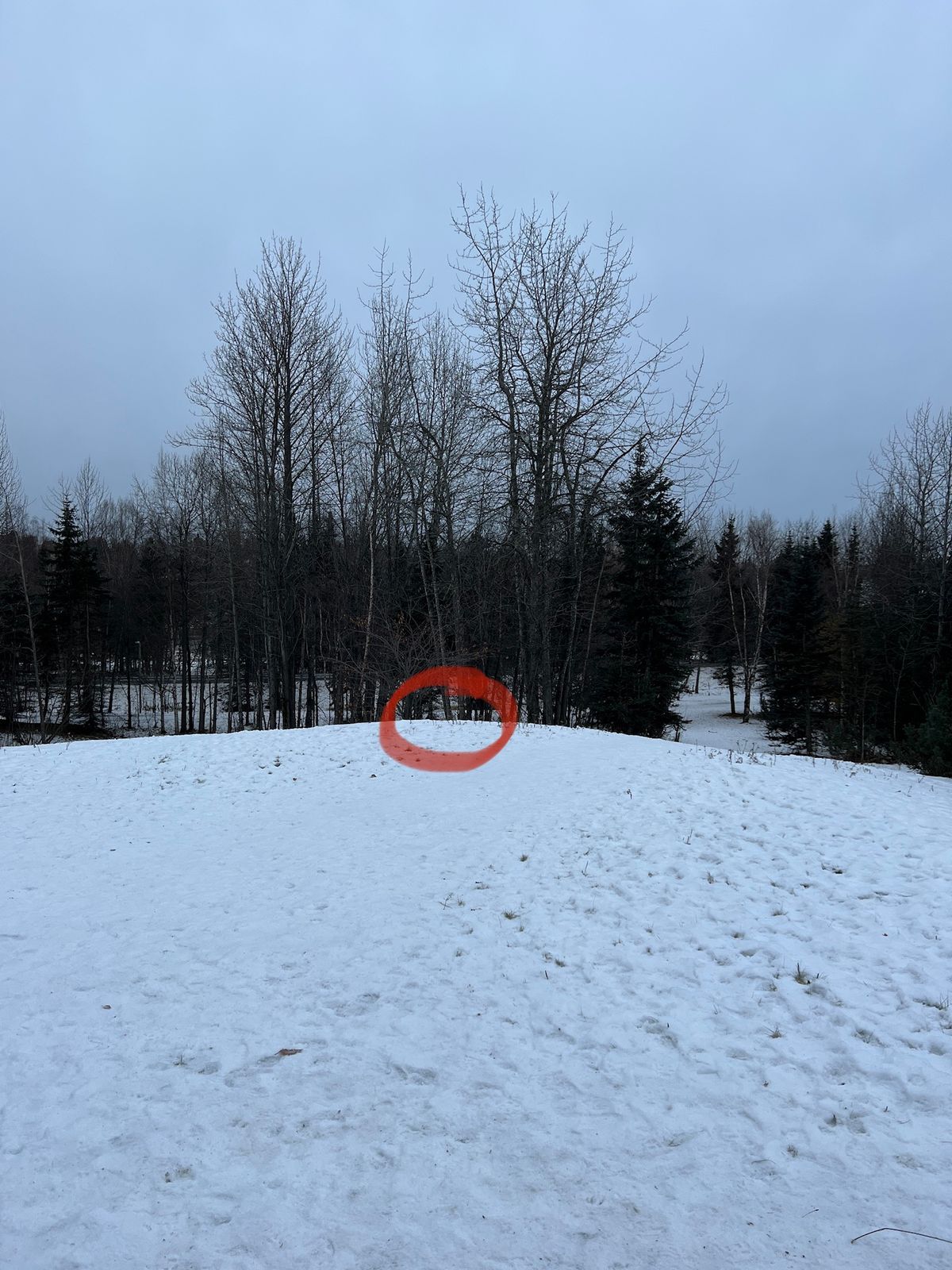 Hole 5