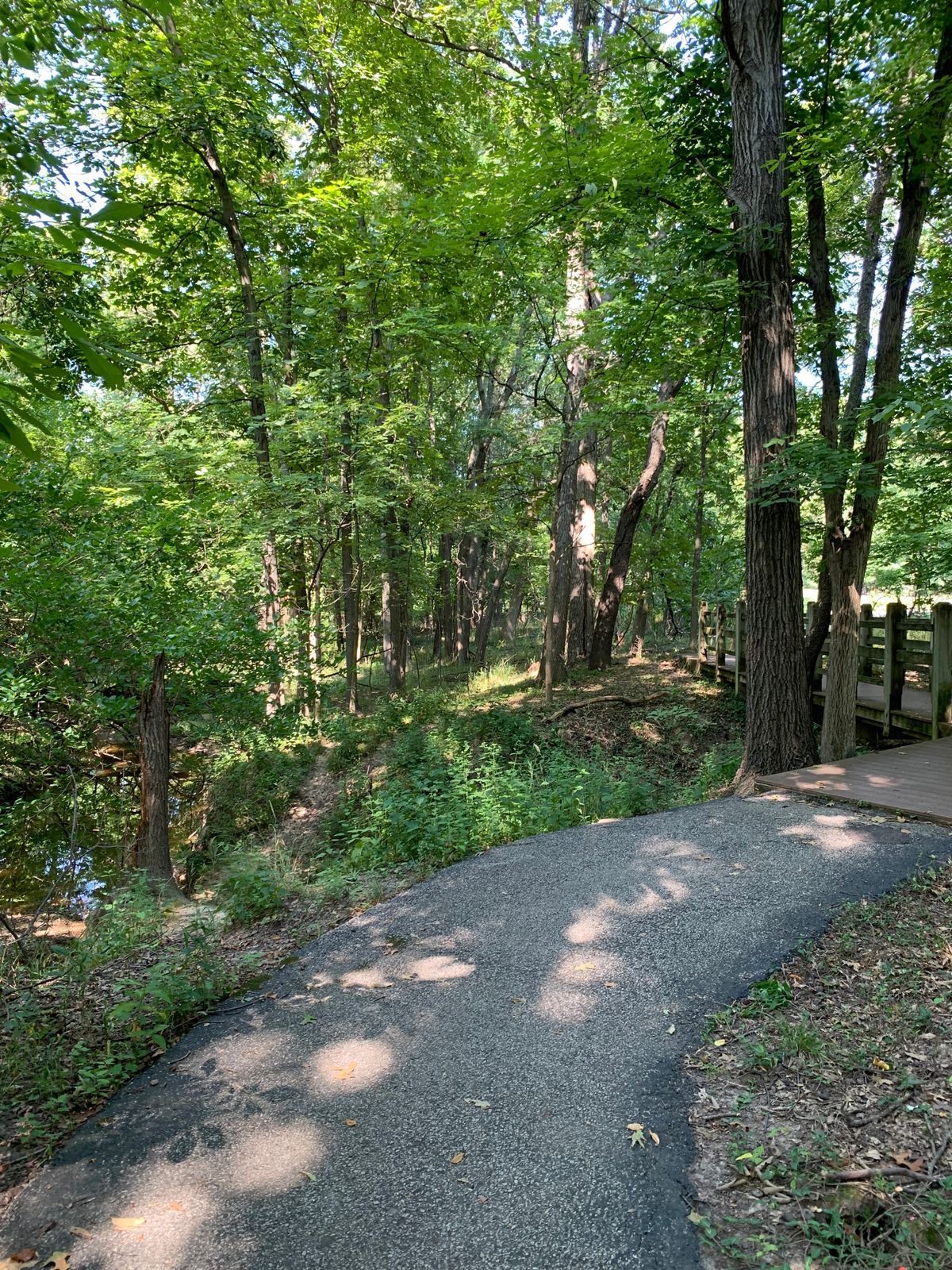 Hole 6