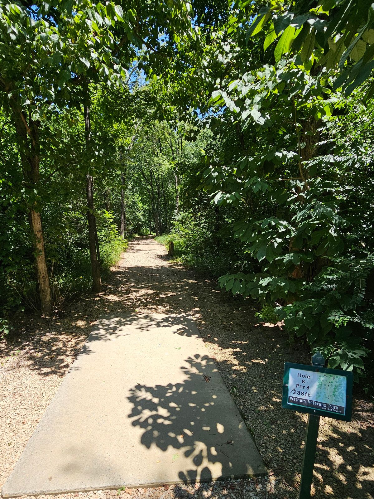 Hole 8