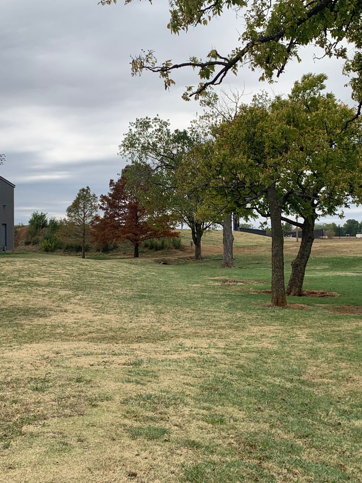 Hole 3