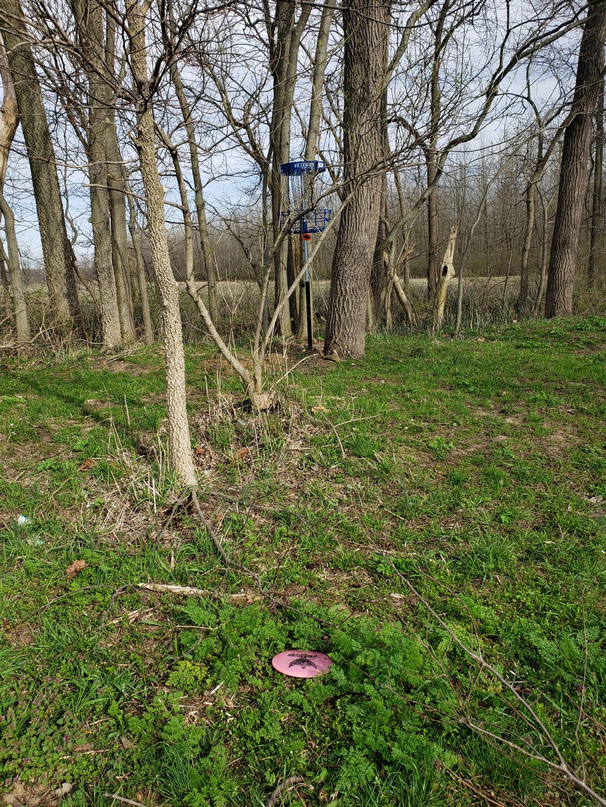 Hole 13 basket