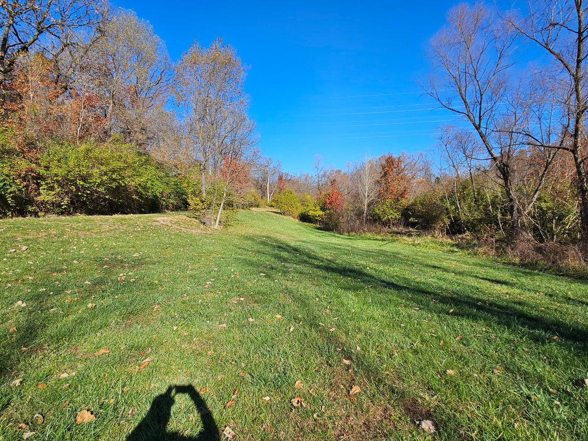 Hole 8 tee