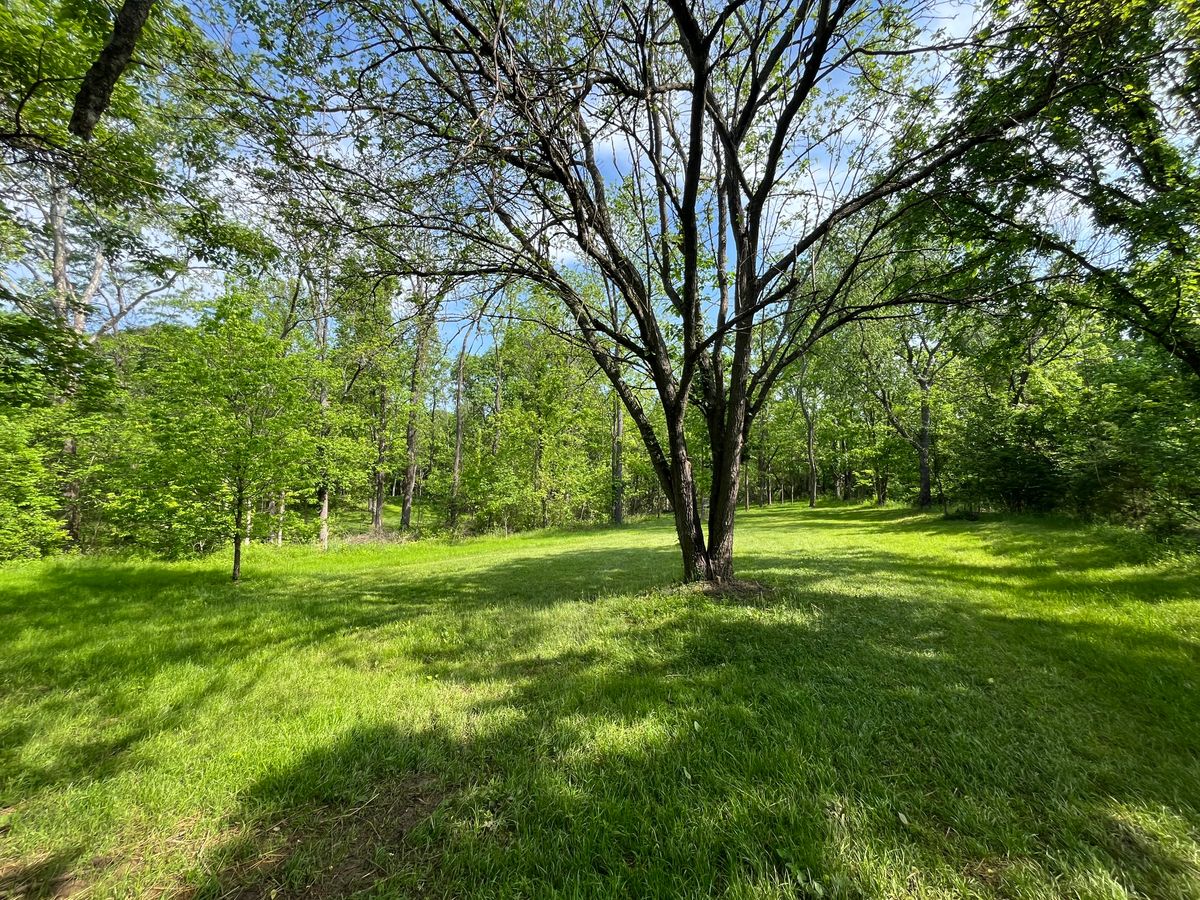 Hole 14 fairway