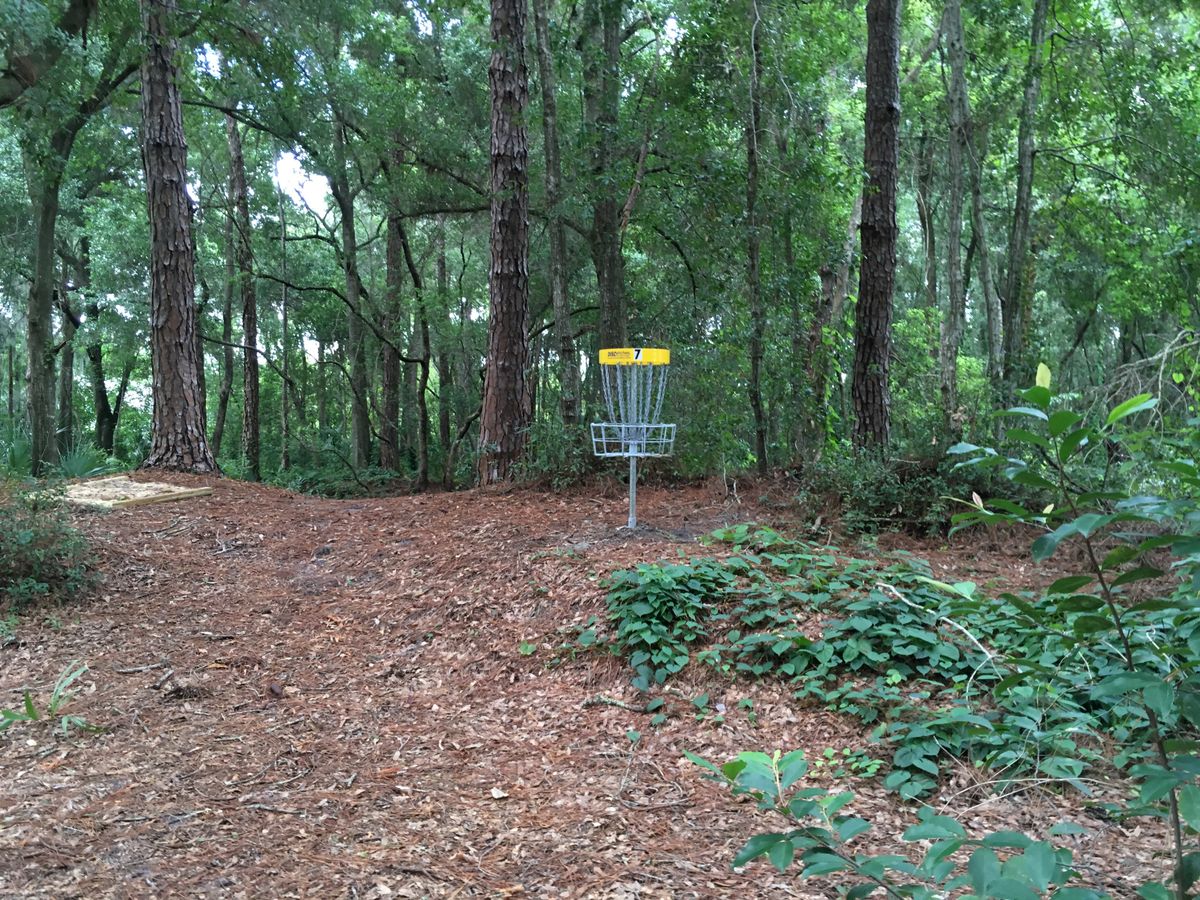 Hole 7 Basket