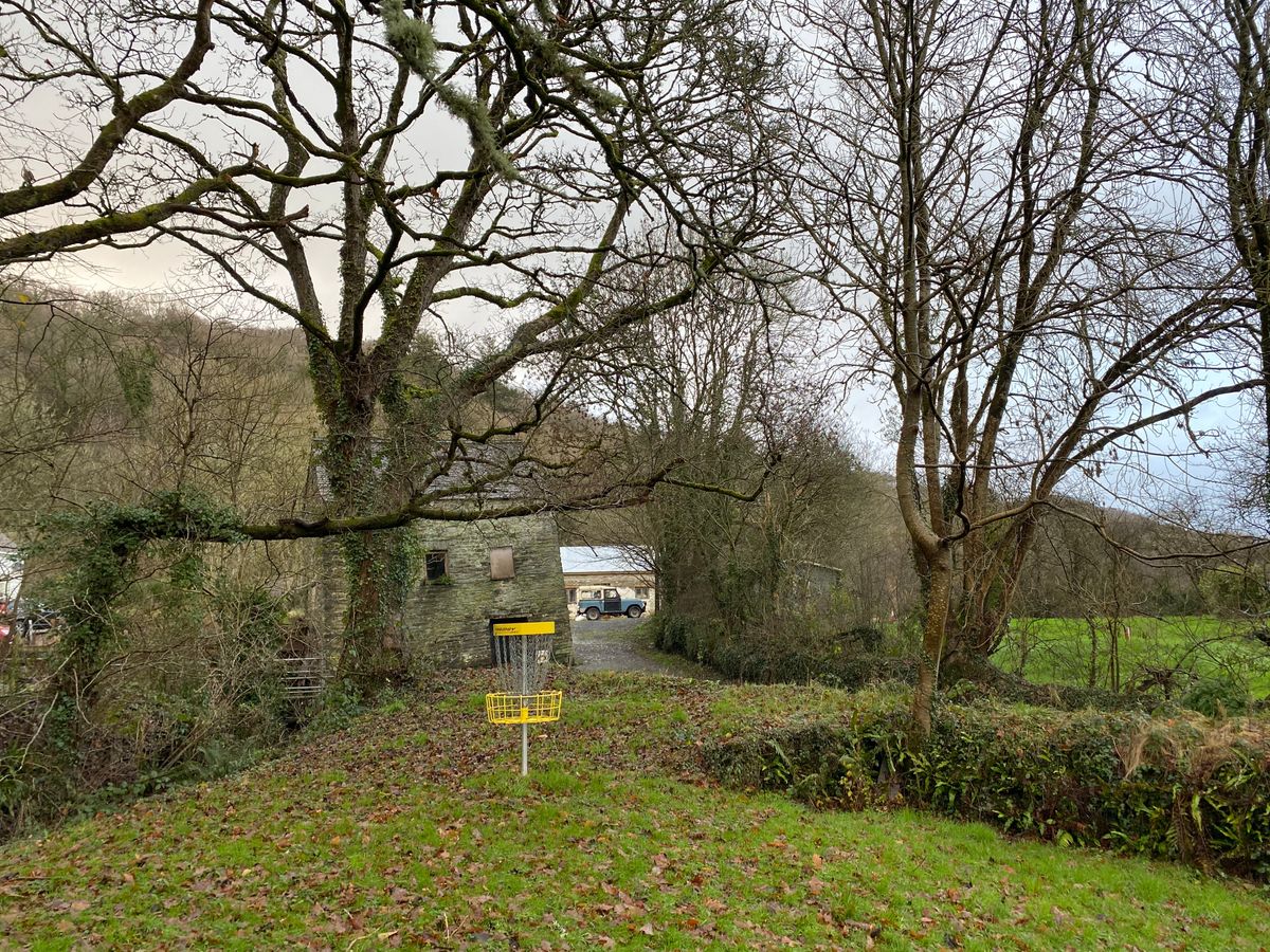 Basket of 12 with the mill behind
