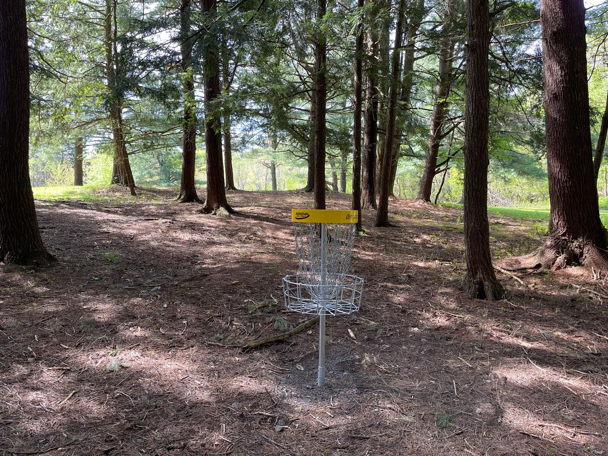 Hole 16 Basket to Tee