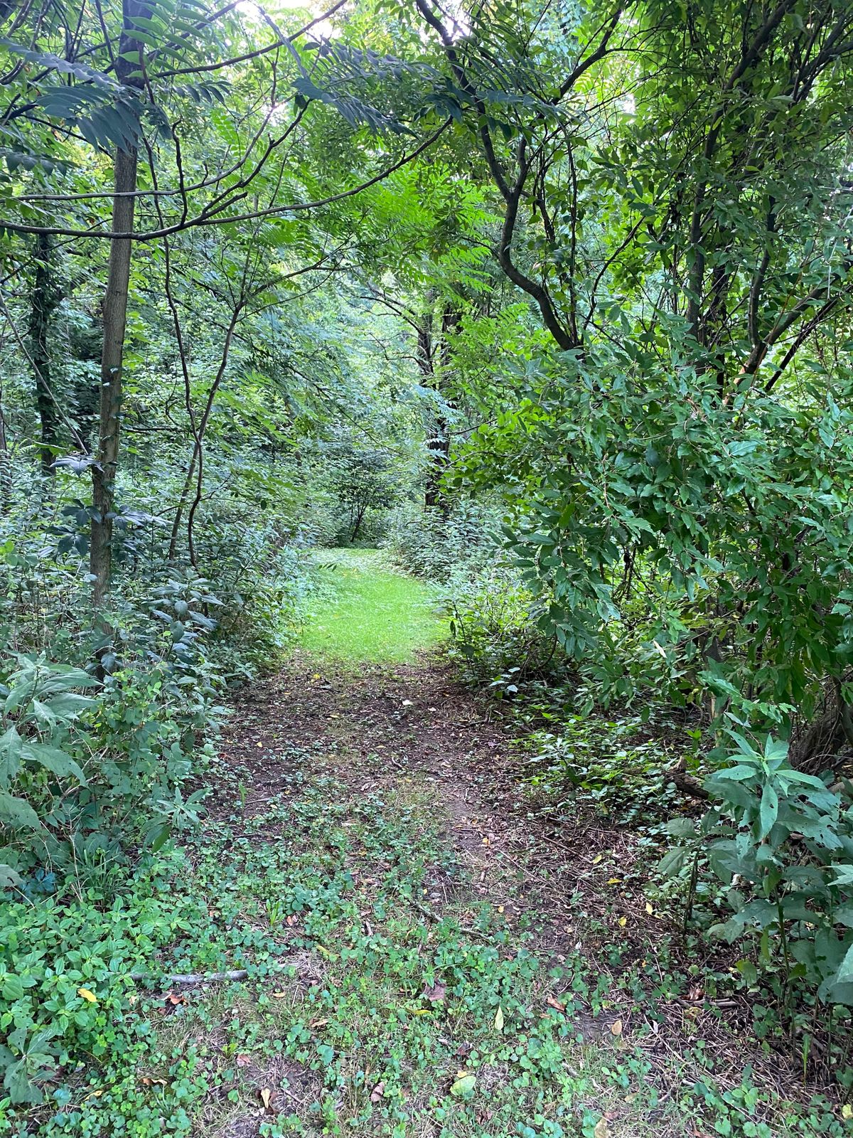 Path from hole 4 to hole 5
