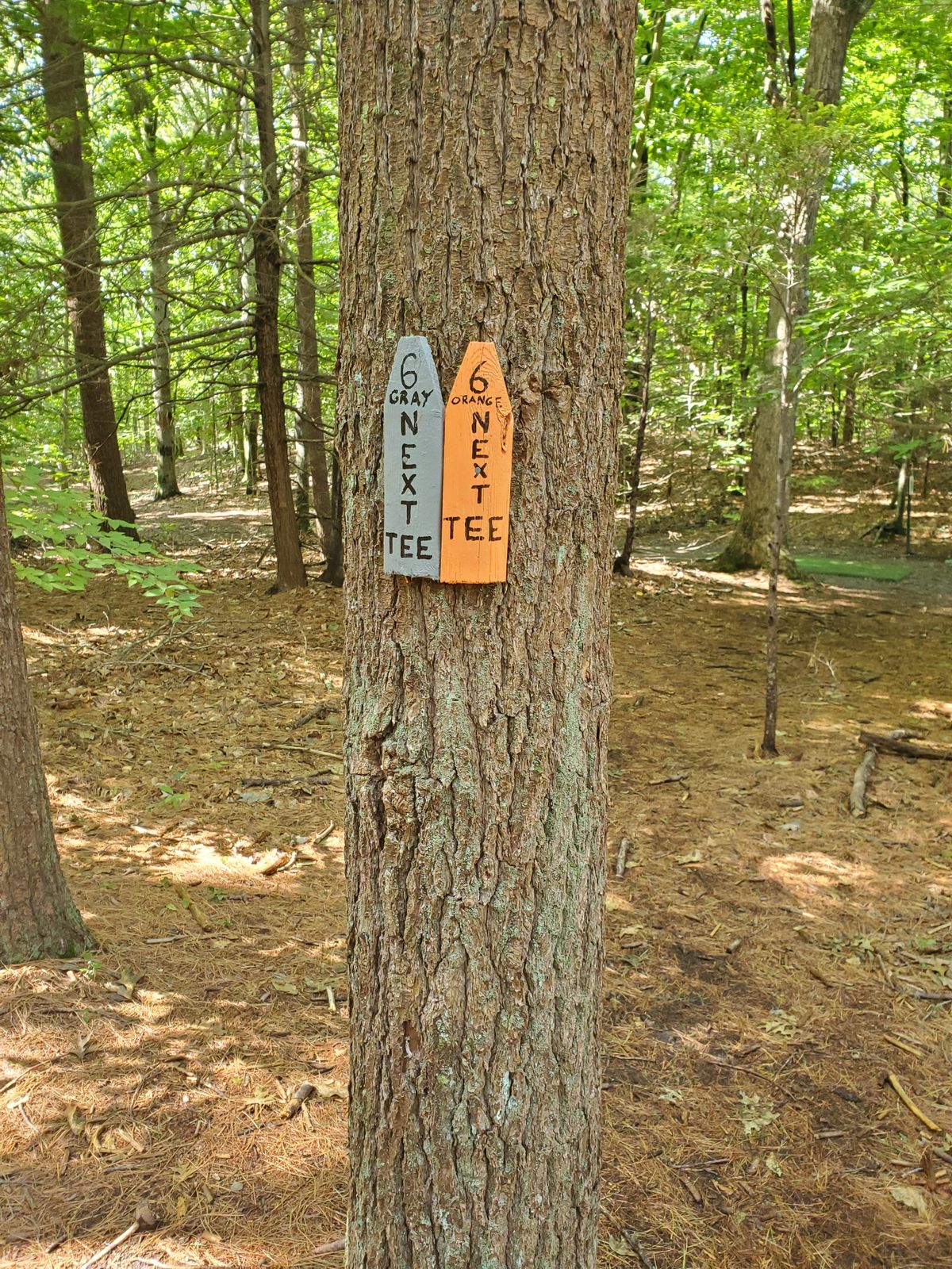 Signs exist, but are often contradictory and sometimes reference different colors. Needs cleaning up.