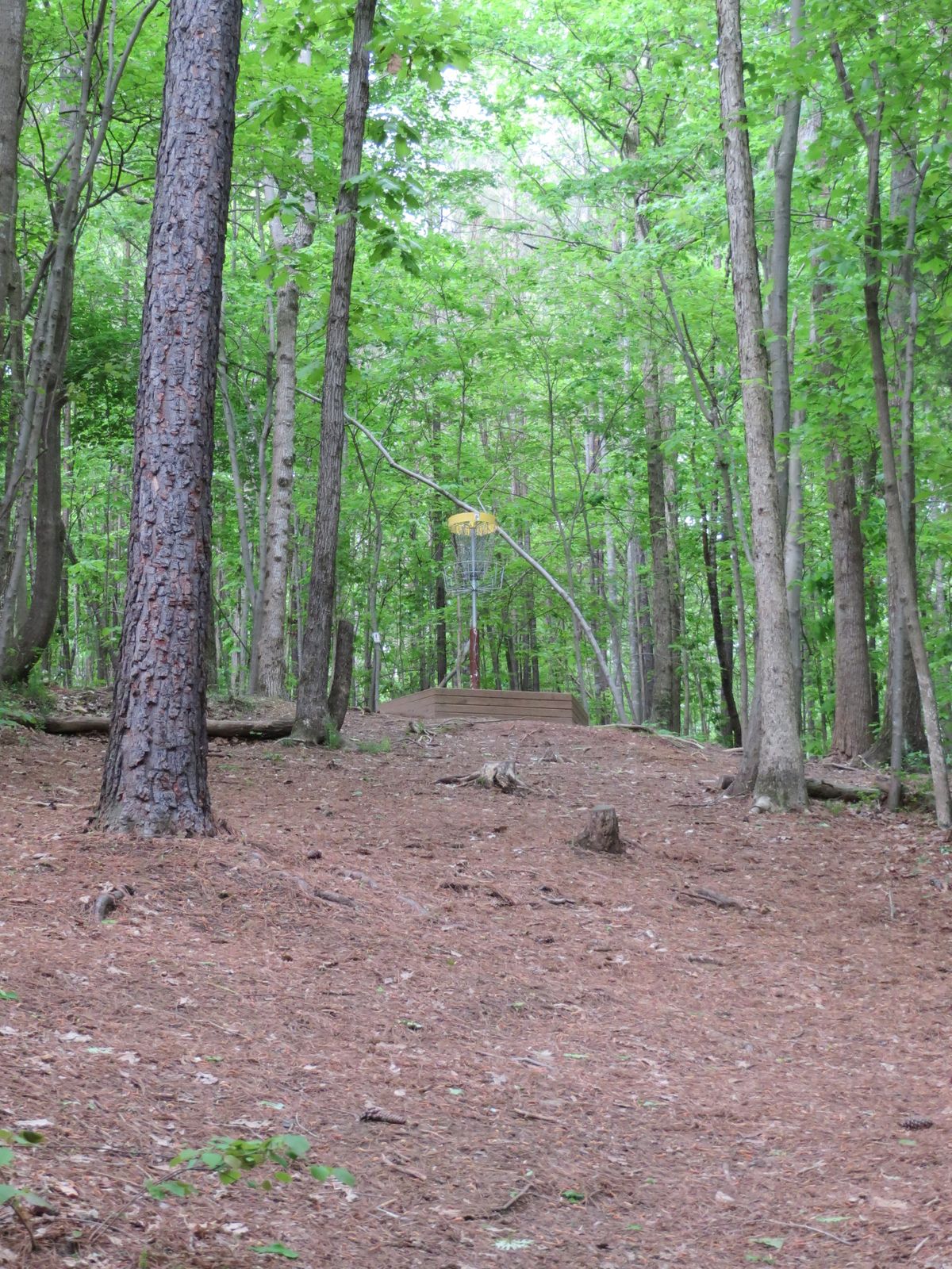Hole 8