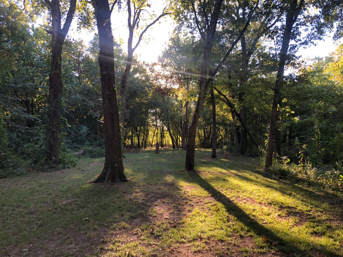 Woods at this course are awesome!