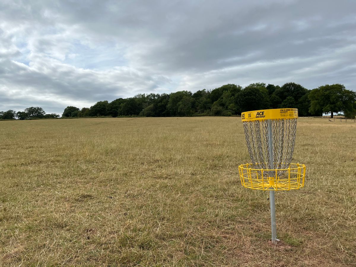 Basket 6 looking up to tee
