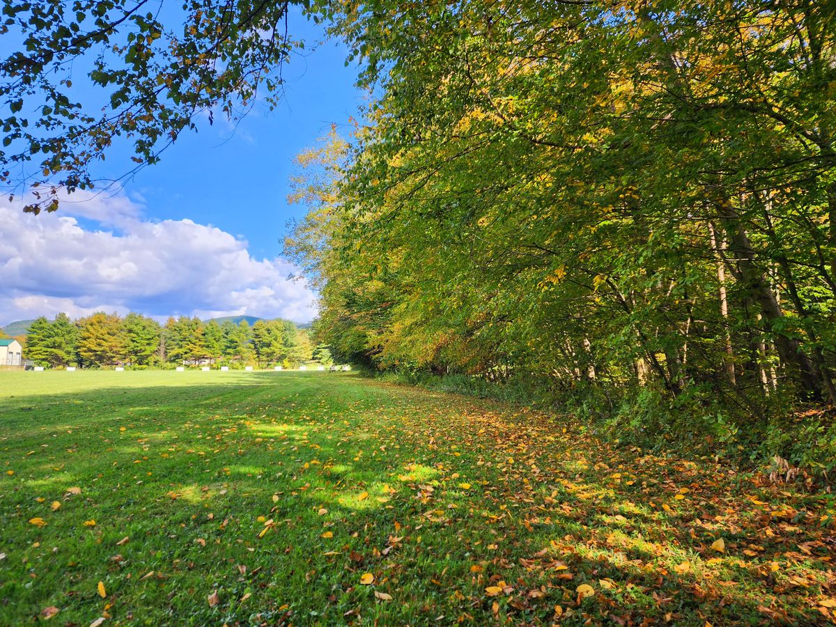 Down fairway on Hole 2