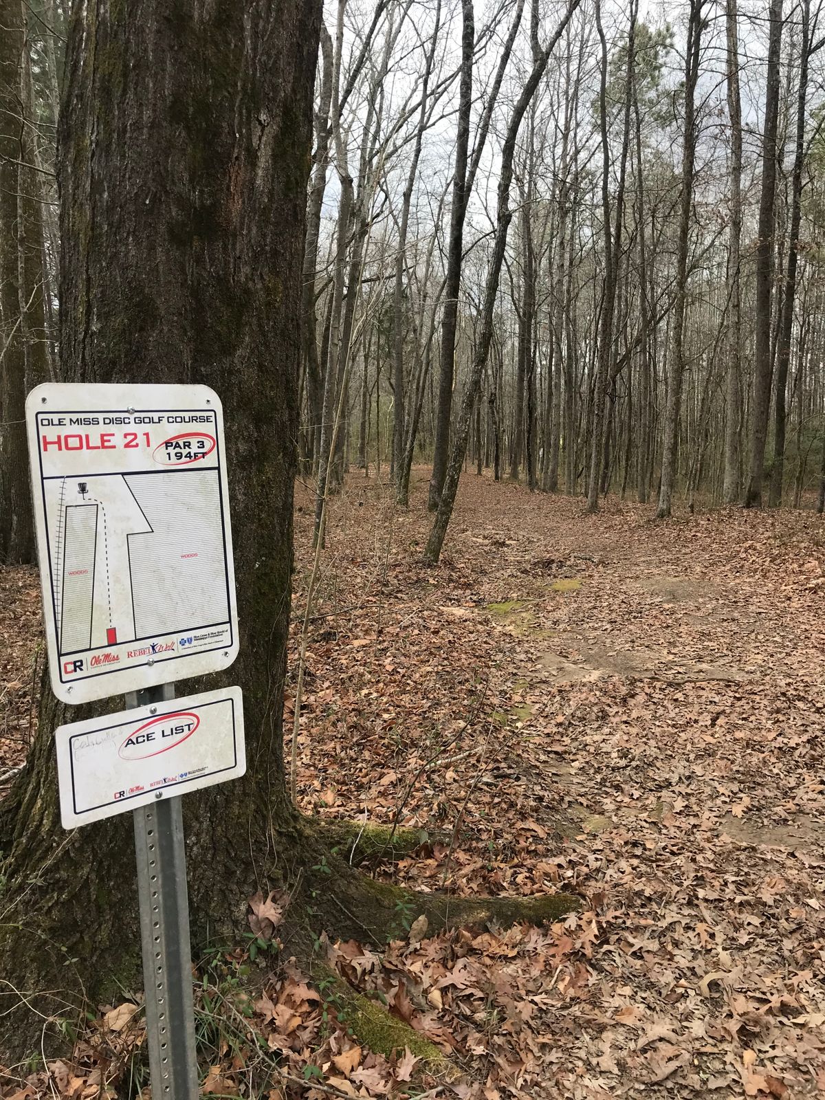 Hole 21